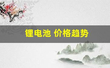 锂电池 价格趋势(锂电池的价格走势)_https://www.wanyuyiyao.com_上交所_第1张